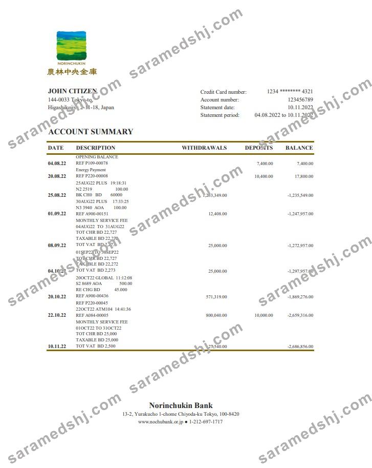Japan Norinchukin Bank statement xls